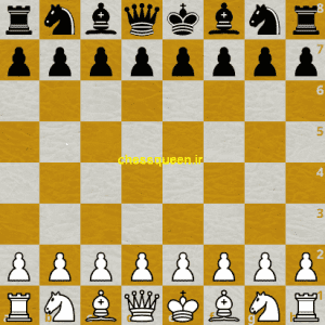چیدمان مهره های شطرنج