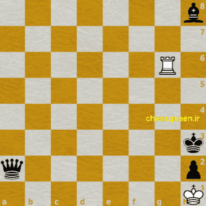 پات شطرنج یا تساوی