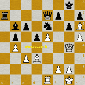 ورود به آخر بازی شطرنج