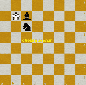 حمله دوگانه شطرنج