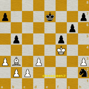 حاشیه صفحه شطرنج