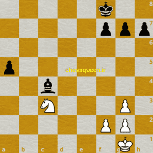 مرکز صفحه شطرنج