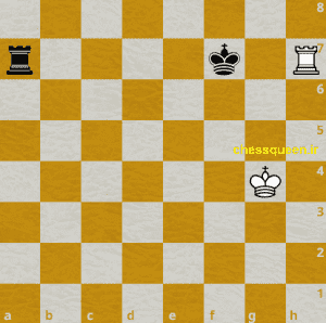 حمله دوگانه در بازی های شطرنج