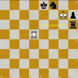 شاه شطرنج کناره 